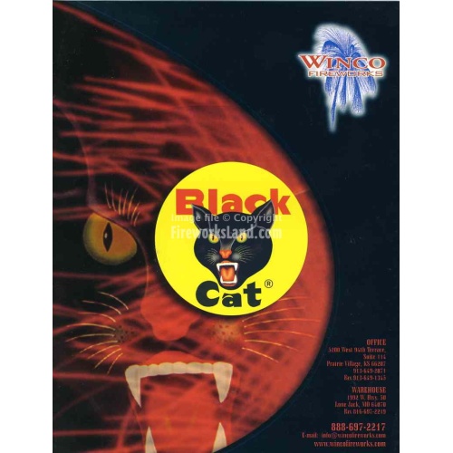 winco-black-cat437